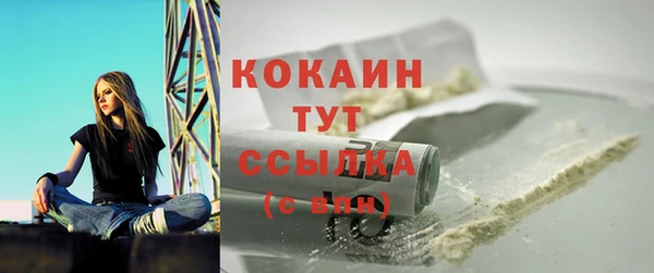 ПСИЛОЦИБИНОВЫЕ ГРИБЫ Переславль-Залесский