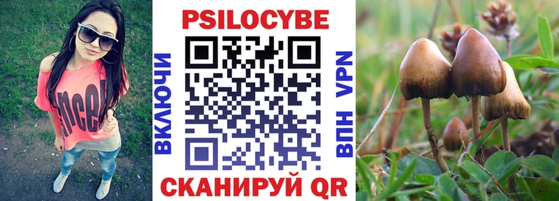где купить наркотик  Бронницы  Галлюциногенные грибы MAGIC MUSHROOMS 